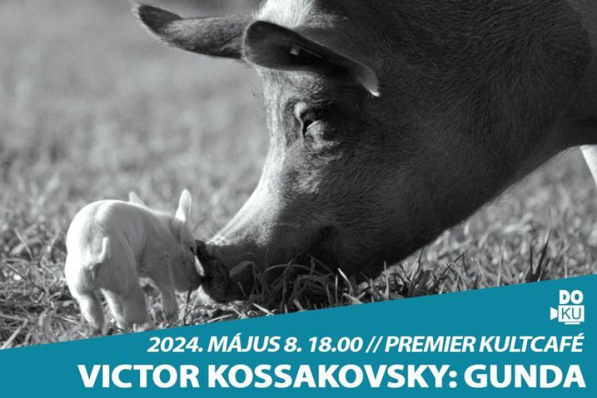 Victor Kossakovsky: Gunda- Faludi DOKU Filmklub-Premier Kultcafé- 2024. május 8. 